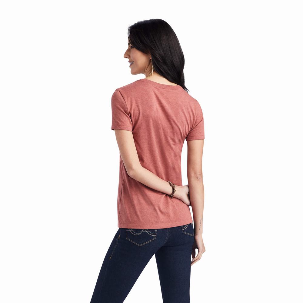 Top Ariat Wheat Script Donna Rosse | IT236GBMQ