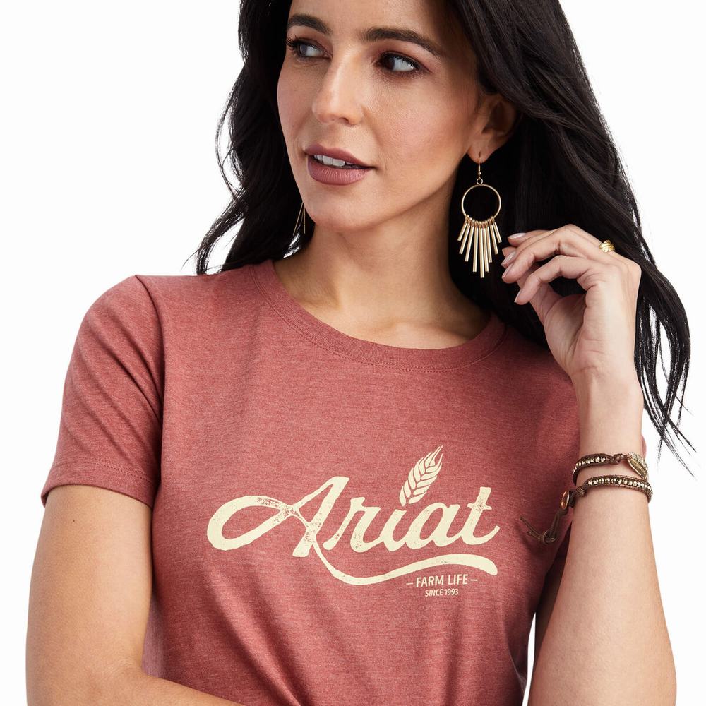 Top Ariat Wheat Script Donna Rosse | IT236GBMQ