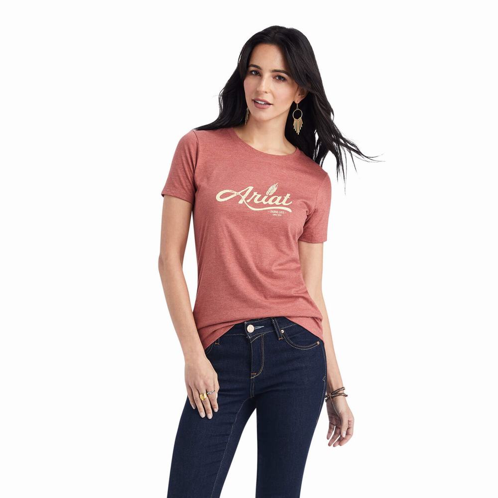 Top Ariat Wheat Script Donna Rosse | IT236GBMQ